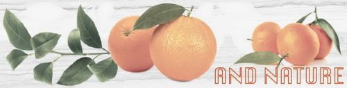  Decor Naranjas 3 10x40 декор от 