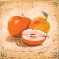 Плитка Гурман Декор яблоко (D-498) 16,5х16,5 от Сокол