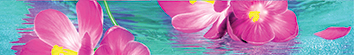 Плитка Ocean flowers B300D240 Бордюр 30х4,5 от МУЗА-КЕРАМИКА